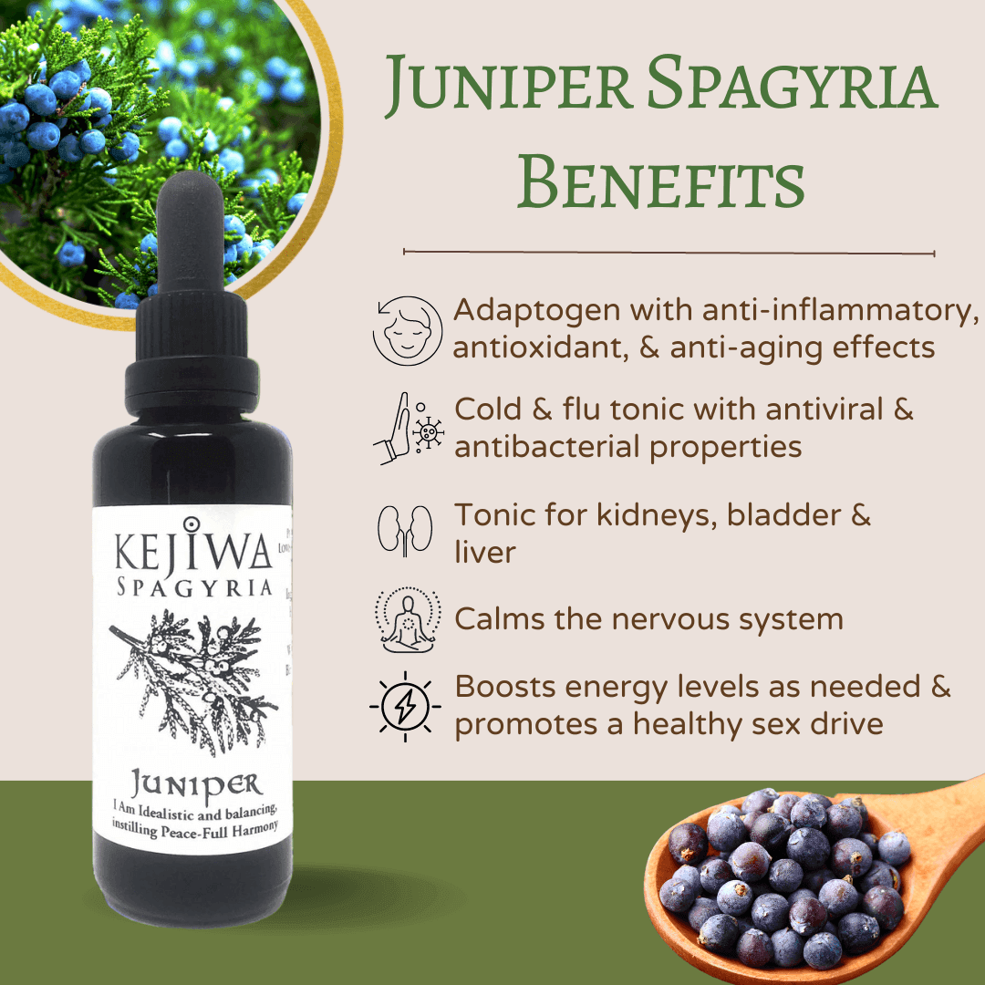 Juniper Spagyria benefits shown in product infographic