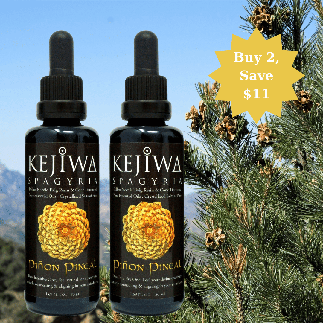Piñon Pineal Spagyria - Kejiwa Alchemy