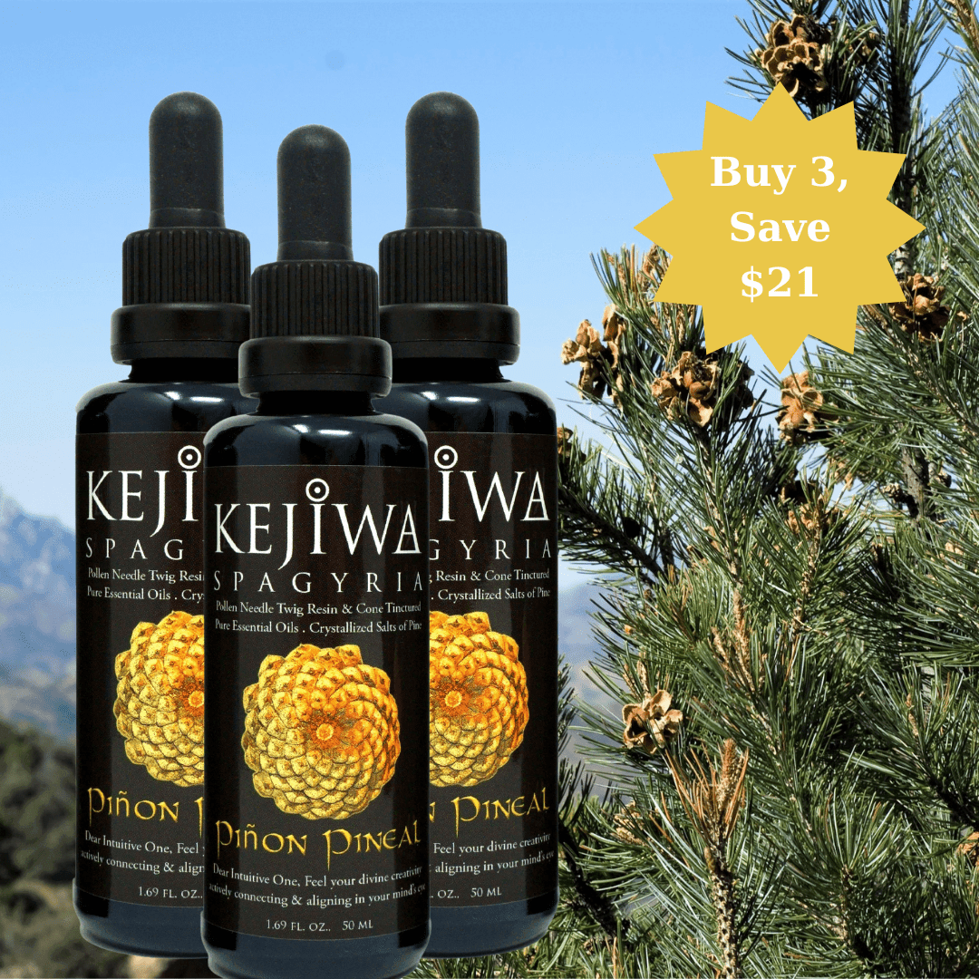 Piñon Pineal Spagyria - Kejiwa Alchemy