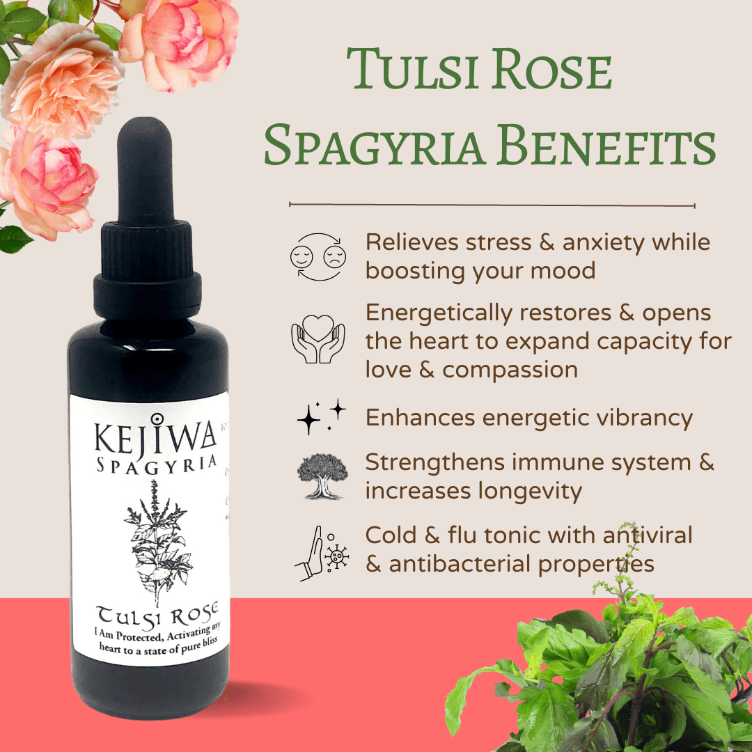 Tulsi Rose Spagyria benefits Kejiwa