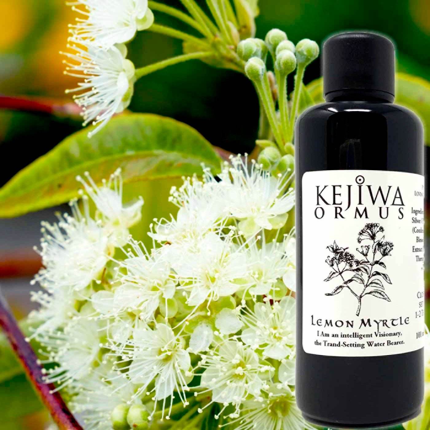 Lemon Myrtle Ormus *Special* - Kejiwa Alchemy