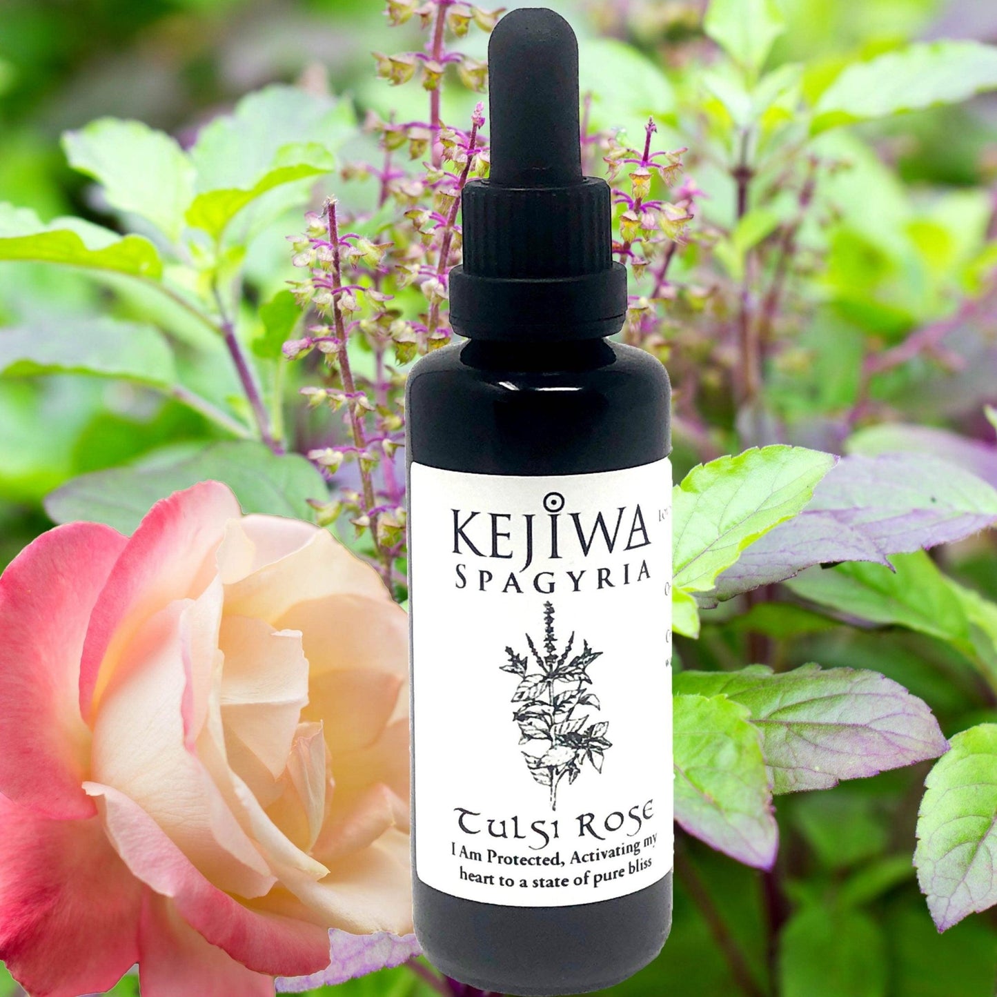 Kejiwa Tulsi Rose Spagyria: Alchemical Herbal Tincture with Holy Basil trio and Rose Damascena