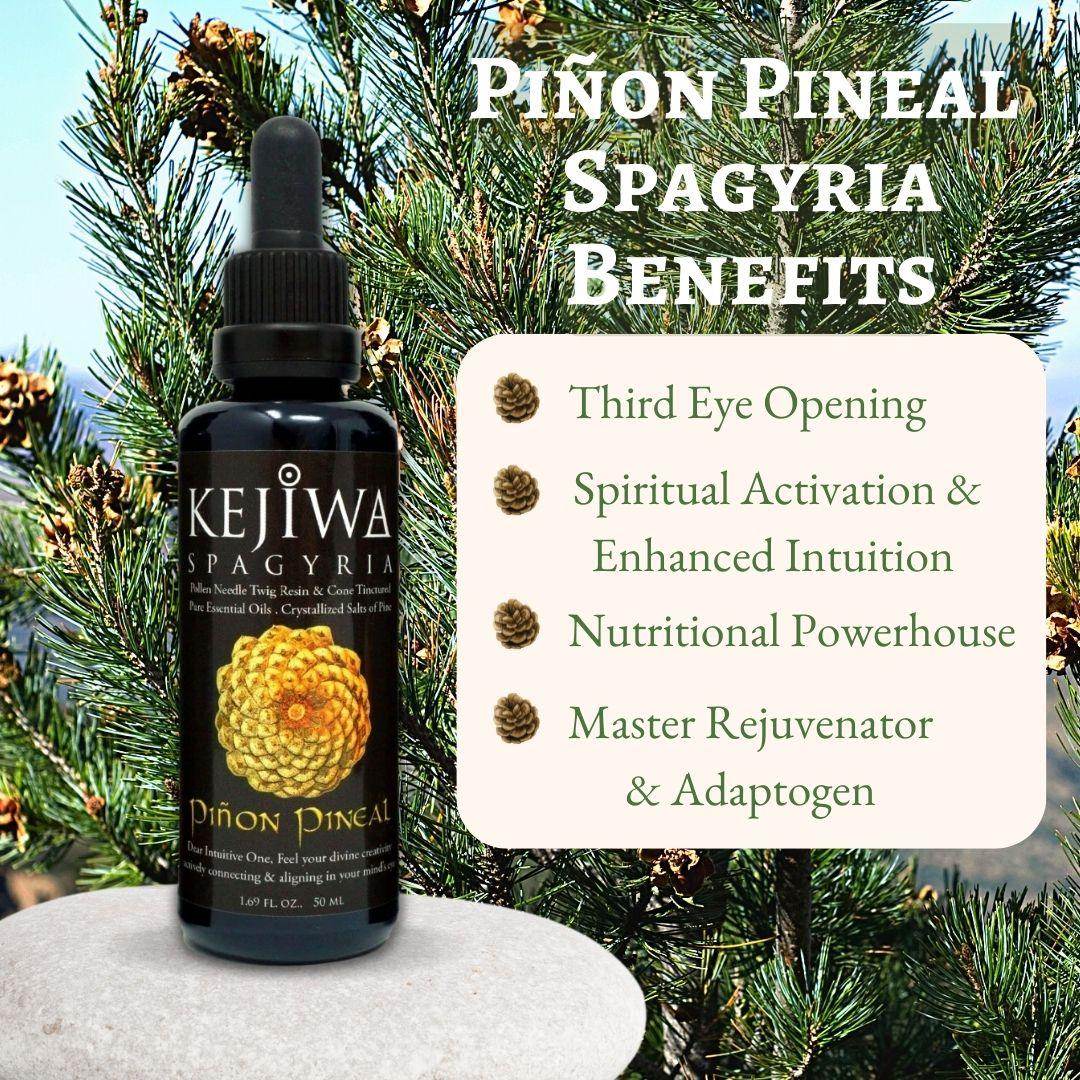 Pinon Pineal Spagyria for clarity and grounding energy