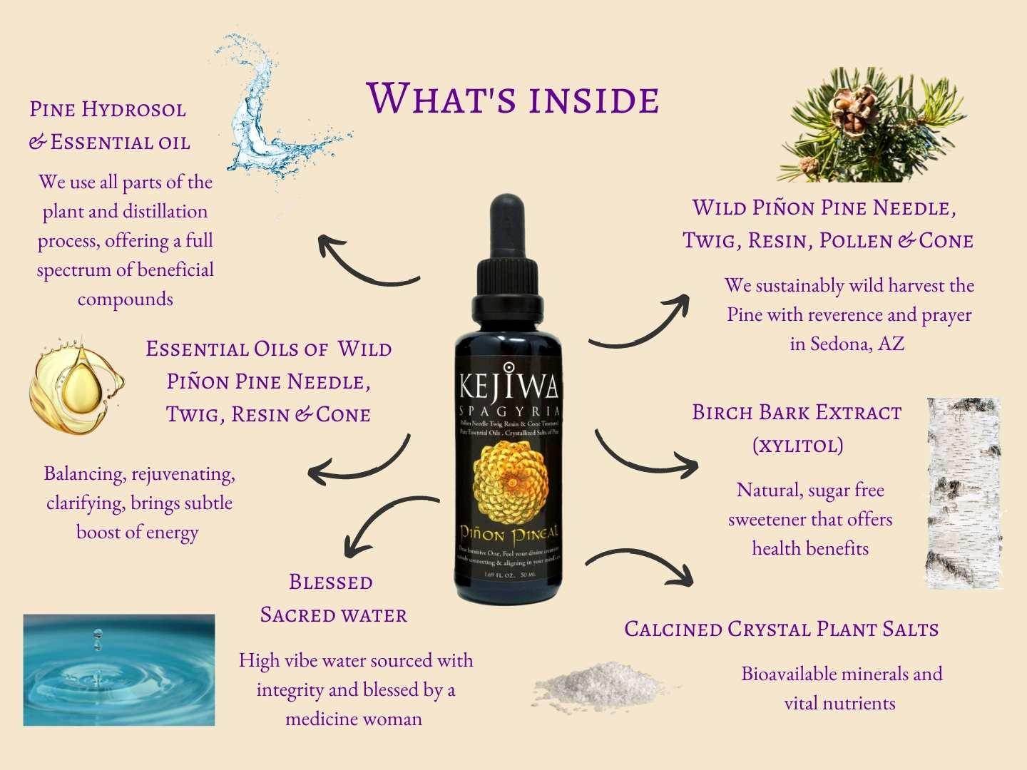 Piñon Pineal Spagyria - Kejiwa Alchemy