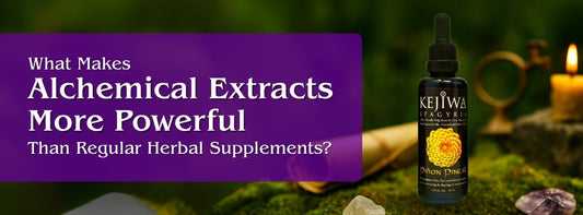 What Makes Alchemical Extracts More Powerful Than Regular Herbal Supplements?