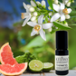 Lioness Aromatherapy Oil