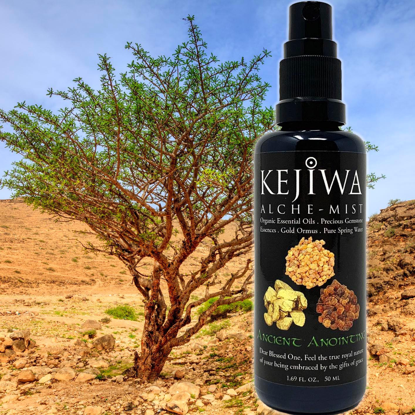 Ancient Anointing Alche-Mist with Omani Frankincense tree