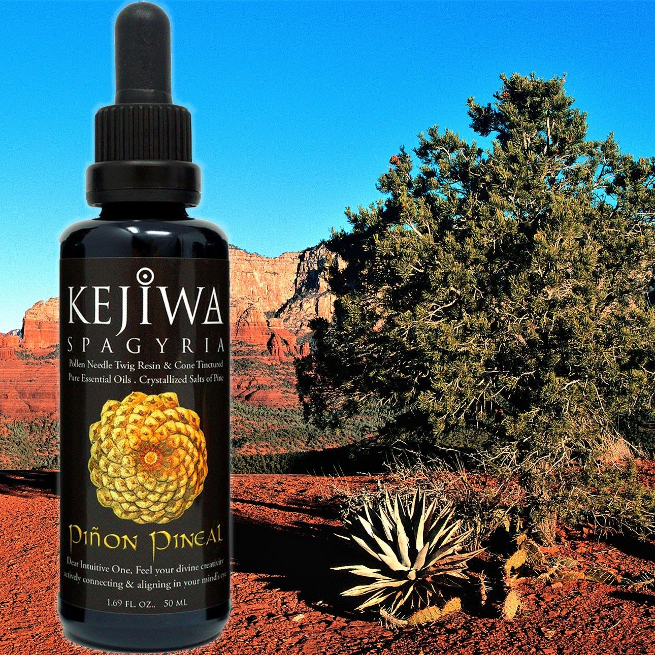 Pinon Pine Resin Essential Oil -EOPNPR