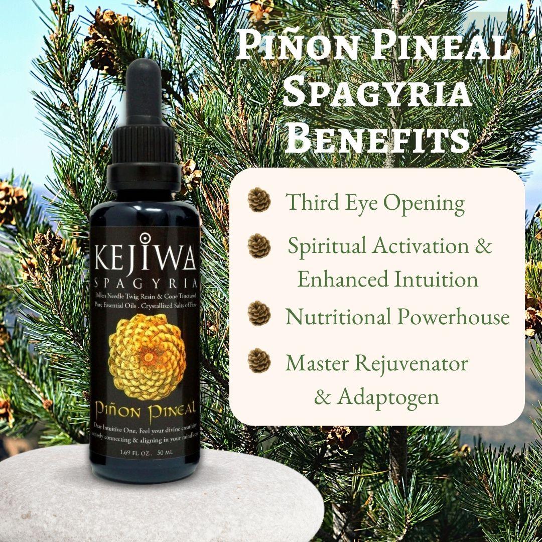 Piñon Pineal Spagyria Benefits